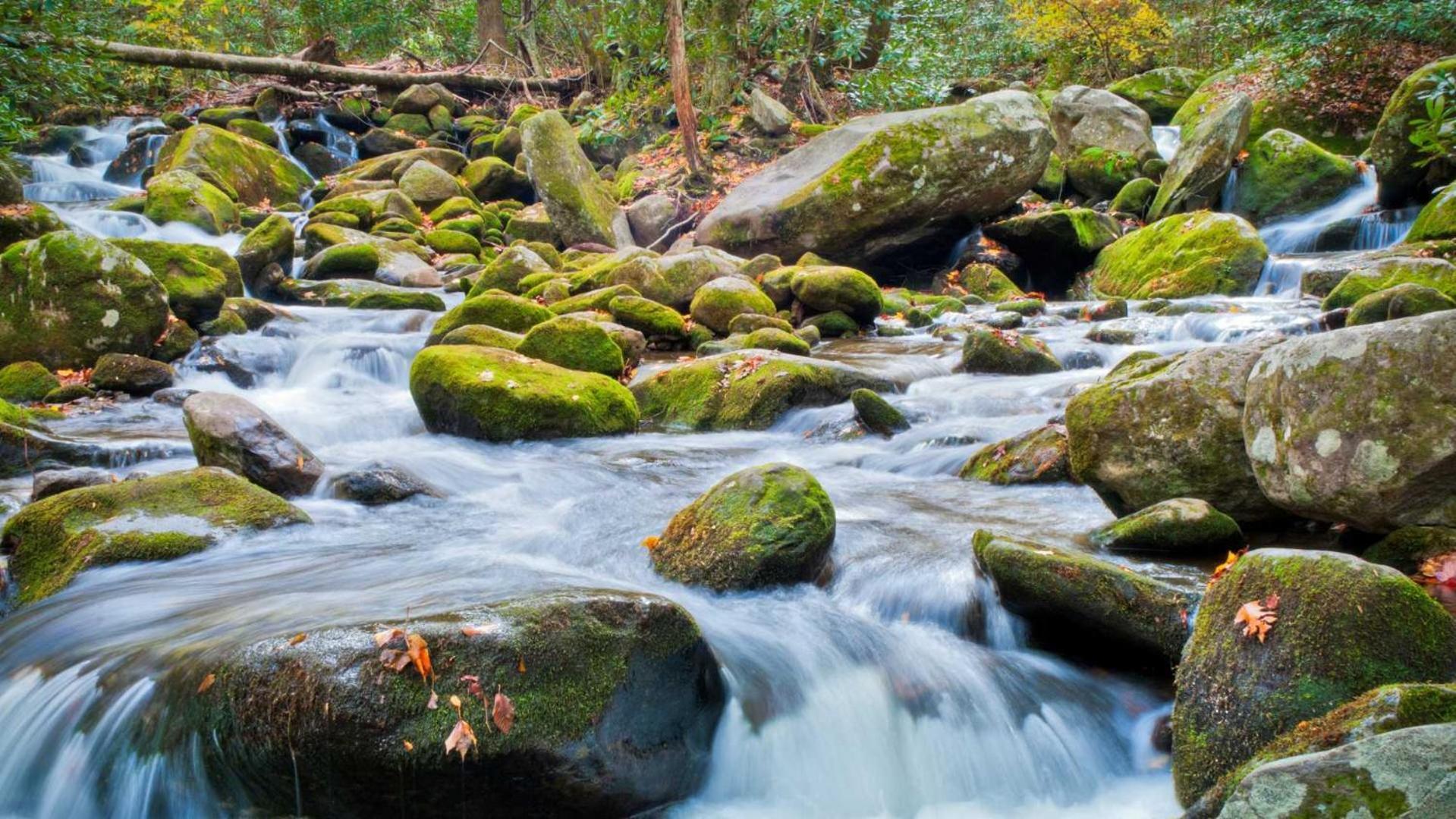Little Smoky Retreat , 3 Bedroom , Close To Downtown Gatlinburg And Pigeon Forge 外观 照片
